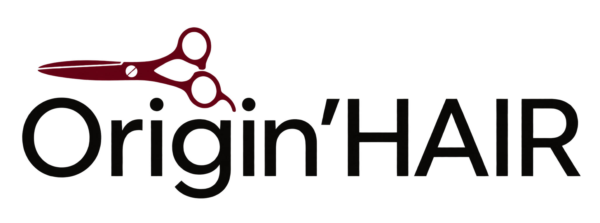 Logo Origin’HAIR